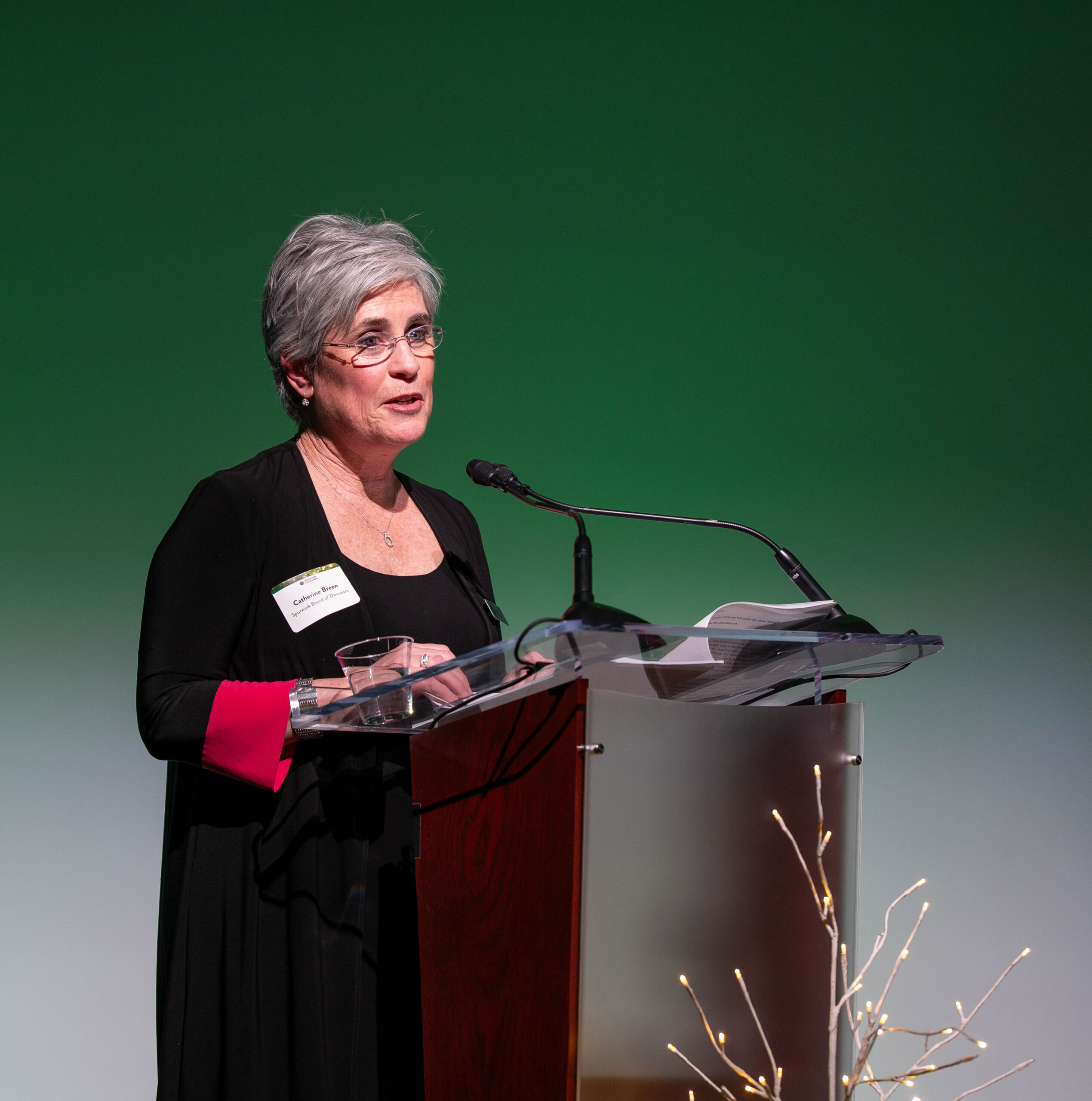 Cathy Breen standing at a podium, speaking at Spurwink's Humanitarian event.